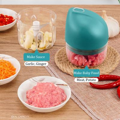 China Hotel Kitchen Appliances Electric Thermomix Mini Food Chopper Usb Blender Baby Food Makers for sale