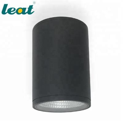 China modern indoor ledlighting ceiling foyer ceiling down light room design ceiling light CE SAA for sale