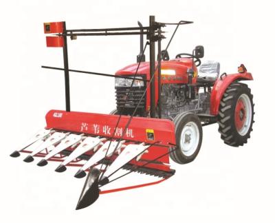 China High Quality Diesel Power DF121 Wheat/Rice Paddy Reaper Binder Model GYGL120 for sale