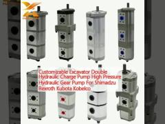 Customizable Excavator Double Hydraulic Charge Pump High Pressure Hydraulic Gear Pump For Shimadzu Rexroth Kubota Kobelco