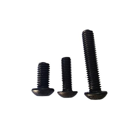 China Stainless Steel Hex Socket Cap Screw at Affordable from Alloy Steel Screw Guaranteed for sale