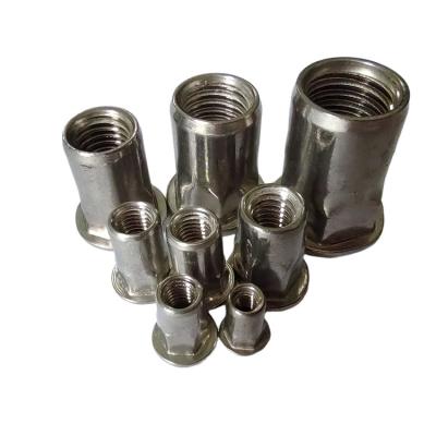 China Stainless Steel 304 Strength Semi-Hex Blind Rivet Nut for Heavy-Duty Applications for sale