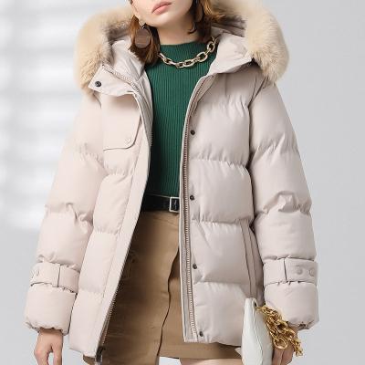 China 2022 new winter parka fur cotton hooded jacket women's ladies collar cotton regular coat women's parka for sale