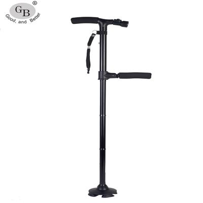 China Color Foldable Twin Handle Adjustable Customized Walking Cane With Led Light for sale