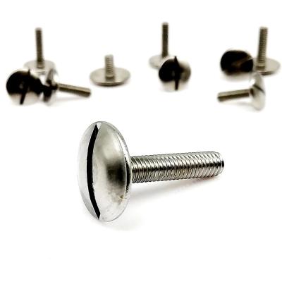 China Oversized Truss M2 M2.5 M3 M4 M5 M6 GB947 304 Stainless Steel A2-70 Extra Large Size Round Slotted Head Truss Bolt Screw for sale