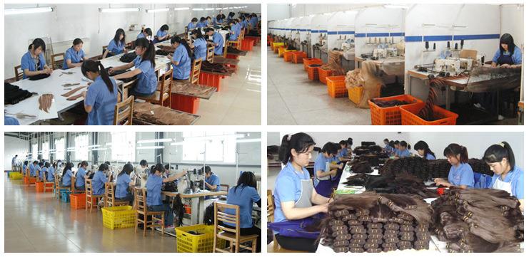 Verified China supplier - Zhengzhou Xingxiu Hair Products Co., Ltd.