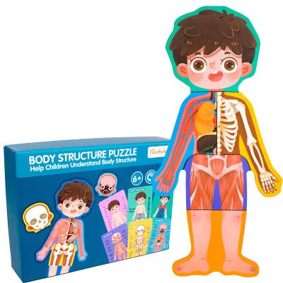 China Eco-friendly Human Organ Wooden Constitution Children Boys Girls Cognitive Educational Puzzle Toys for sale