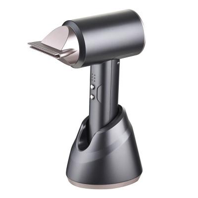 China MEN Professional Ionic Hair Dryer for Travel Use Baby Use Hot and Cold Air Hair Dryer for sale