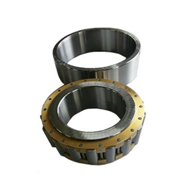 China Hot Selling Motors Machinery Use Bearing Steel Cage Single Row Iron Cylindrical Roller Bearing 3004264 for sale