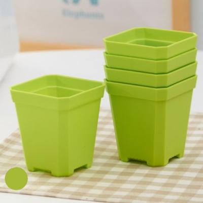 China Europe 20pcs nursery pot package link factory directly on sale mini square flower pots desktop pots for sale