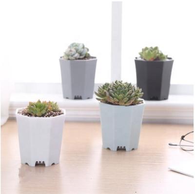 China From Europe 5.2*5.5cm mini octangle succulent pot plant pot plant plastic pots directly for sale