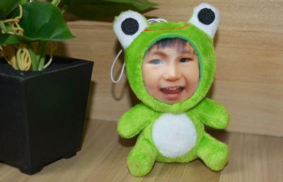 China Foto-Gesicht des Kundenbezogenheits-Frosch-DIY 3D, angefüllte Gesichts-Puppen des Plüsch-3D zu verkaufen