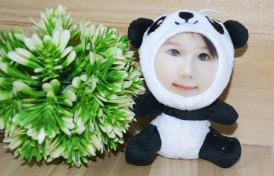 China Novelty Photo Mask toys Stuffed Plush gift 3D Face Doll 10CM Panda for sale