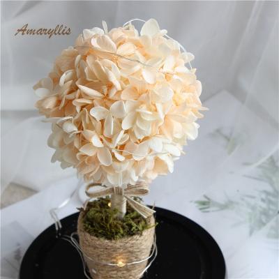 China Preserved Eternal Roses Real Flowers Decoration Gifts Beautiful Preserved Rose Glass Flower for sale