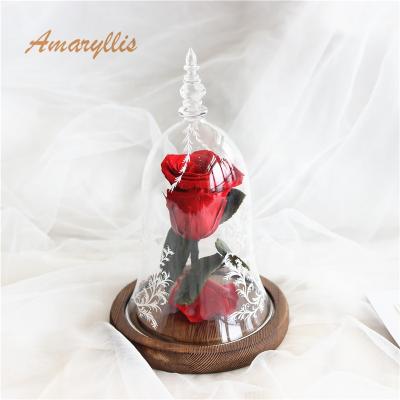 China Real Fresh Cut Flowers Amaryllis Dome Beauty and the Beast with Led Lights Wholesale High Quality Preserved Roses in Glass Valentine for sale