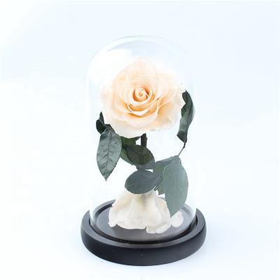 China Wedding decoration & Gift New Product Ideas 2019 Promo Gift Box Forever Rose Preserved Flower Wholesale In Glass Dome for sale