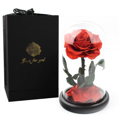 China Wholesale Christmas Decration Wedding Anniversary High Quality A Grade Preserved Roses Rose In Glass Dome Eternal Rose for sale