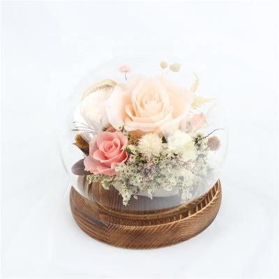 China Amaryllis New Hot Selling Products Decoration Gifts Preserved Rose Flower In Glass Dome Home Decoration Pieces Luxury for sale