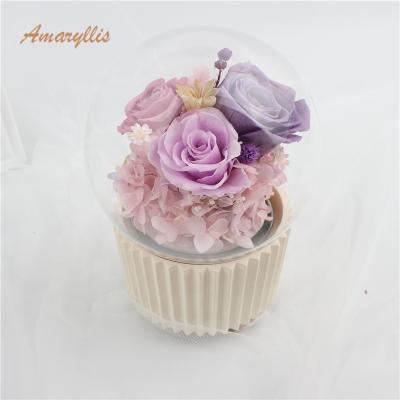 China Decoration gifts opens 2019 new products wholesale high quality preserved flower preserved box rose in glass dome rose bear music box durable for sale