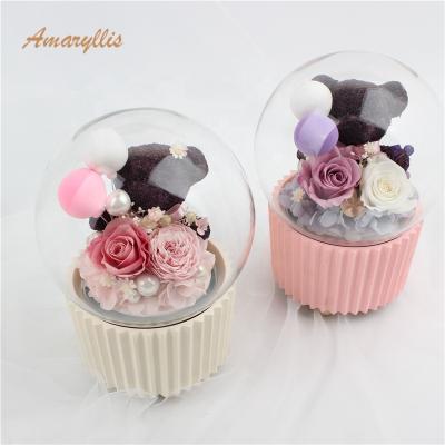 China Decoration gifts opens 2019 new products wholesale high quality preserved box rose in glass dome rose bear music box durable eternal flowers for sale