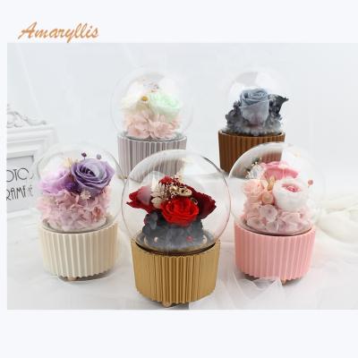 China Decoration gifts opens 2019 new products wholesale high quality preserved flower preserved box rose in glass dome rose bear music box durable for sale