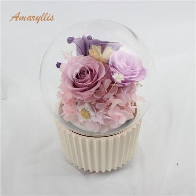 China Decoration gifts opens 2019 new products wholesale high quality preserved flower preserved box rose in glass dome rose bear music box durable for sale