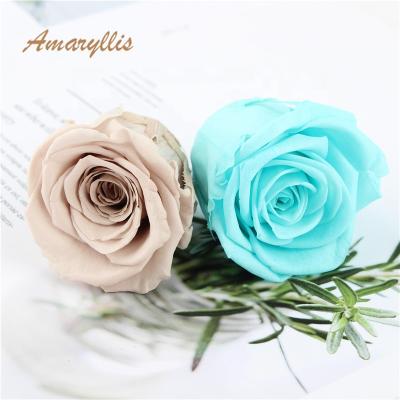 China Holiday decoration & Gift Wholesale A Grade 4-5 Cm Durable Everlasitng Preserved Roses Eternal Rose For Decorations for sale