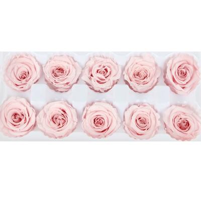 China Gifts Decoration DIY Preserved Roses Head Flowers Bud Head Multi Color 3-4 Cm A Grade for sale