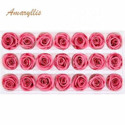 China Gifts Decoration DIY Preserved Roses Head Flowers Bud Head Multi Color 3-4 Cm A Grade Eternal for sale