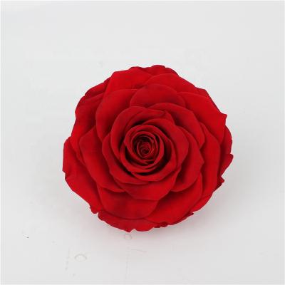 China Real Fresh Cut Roses Wholesale High Quality 9-10 Cm Grade One Touch Real Preserved Forever Eternal Roses Direct Eternal for sale