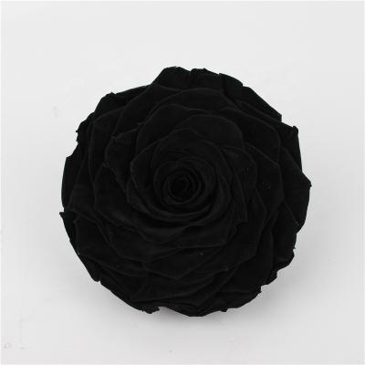 China Real Fresh Cut Roses Wholesale High Quality 9-10 Cm Grade One Touch Real Preserved Forever Eternal Roses Direct Eternal for sale