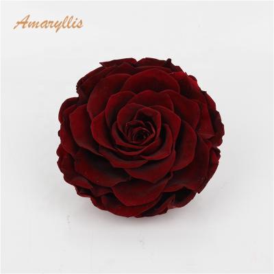 China Real Fresh Cut Roses Wholesale High Quality 9-10 Cm Grade One Touch Real Preserved Forever Eternal Roses Direct Eternal for sale