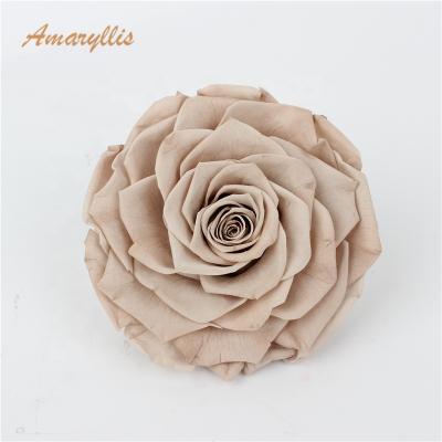 China Real Fresh Cut Roses Wholesale High Quality 9-10 Cm Grade One Touch Real Preserved Forever Eternal Roses Direct Eternal Wedding Flowers for sale