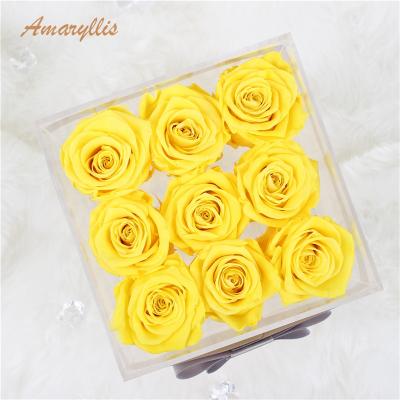 China Recycled Materials Amaryllis Boxes Everlasting Eternal Preserved Roses Forever In Most Durable Acrylic Boxes for sale