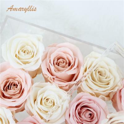 China Recycled Materials Amaryllis Boxes Everlasting Eternal Preserved Roses Forever In Most Durable Acrylic Boxes for sale