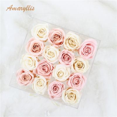 China Preserved Roses Amaryllis New Product Ideas 2019 Eternal Eternal Gifts Crafts Preserved Roses Forever In Acrylic Boxes for sale