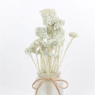 China Group Flower Preserved Dried Flower Bouquets Preserved Forever Eternal Eternal Flowers Rice Flowers for sale