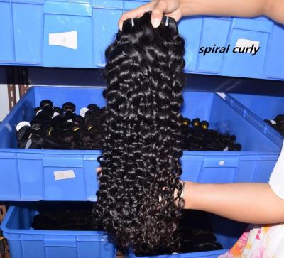 China Fast Delivery Spring Curl Hair Bundles Malaysian Curly Hair Weft Wholesale Price for sale