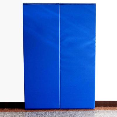 China High Quality Hall Wall Gym Wall Guard Martial Arts Protection Anti-collision Protection for sale