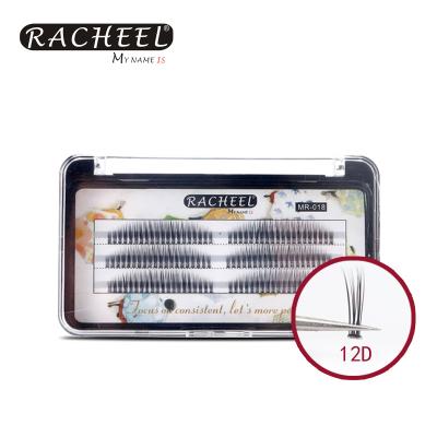 China Natural Long Eyelashes Rainbow 12D Mixed Length Acceptt OEM Offer Free Samples for sale