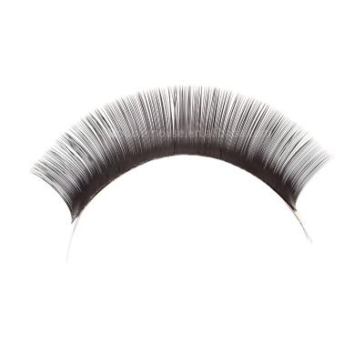 China 2016 HOT SALES Natural Soft, 0.15 C Loop 8mm-13mm Japan Flat Ellipse Eyelash Extensions,Japan PBT for sale