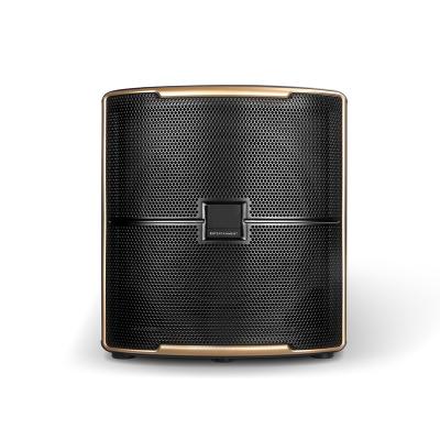 China Active Stage Quality Pasion12SP Subwoofer Loudspeaker Amplifier Speakers for sale