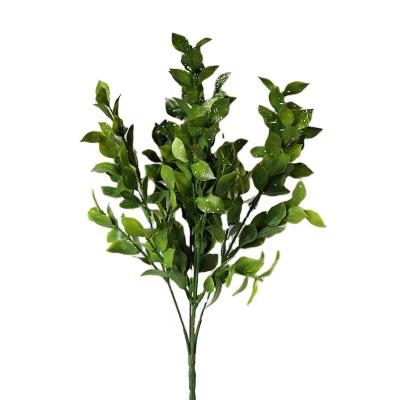 China High Quality Environmentally Friendly Decorative Artificial Eucalyptus Fern Green Plastic Plant for Dining Room for sale