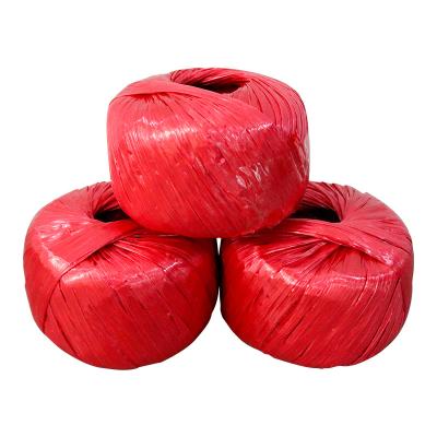 China Professional Supply PP Polyethylene Twine Thick Durable Plastic Ropes Packing Binding Belt Color Binding Woven Packing Moving Rope for sale