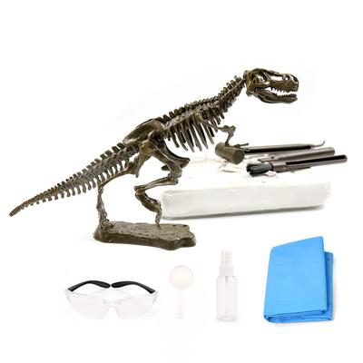 China Fossils Model,PVC+ABS+PE Animais Animais Animals And Dinosaurs Kids Toys Dinosaur Skeleton Sculpture,Fossils Dinosaur Toys Set for sale