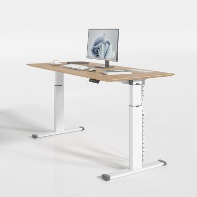 China Elektrisch kantoor bureau met dubbele motor Stand Desk Up Height Adjustable Table Te koop