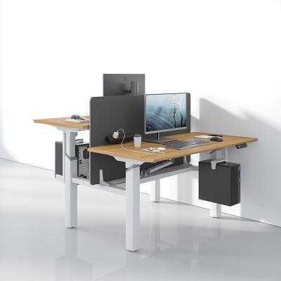 China Houten ergonomische zit-stand tafel Elektrisch hoogteverstelbaar staand bureau Te koop