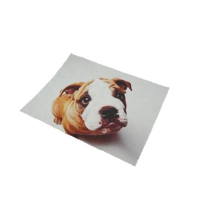 China Cute Eco - Friendly Glass Microfiber Cleaning Cloth for sale