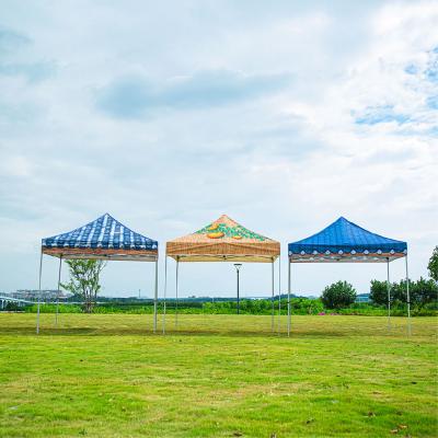 China 600D Steel Foot 1010 Polyester Custom Printing Trade Show Tent Promotion Expo Canopy Trade Show Display Tent for sale