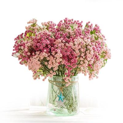 China Fashional Total Length 66cm Exquisite Real Touch Natural Good Quality Multiple Color Gypsophila for sale